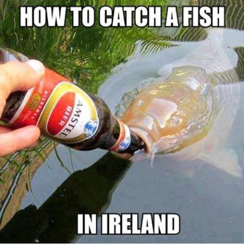 FISH IRLAND