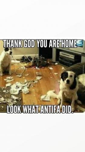 00:23:18 GMT-0800 (PST).image