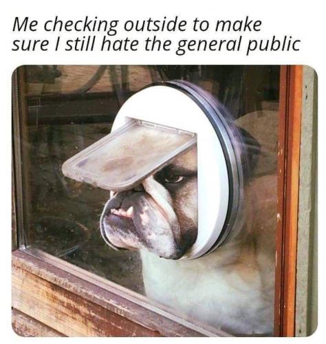 19:25:13 GMT-0500 (EST)