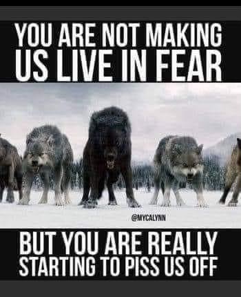 12:22:30 GMT-0600 (CST).image