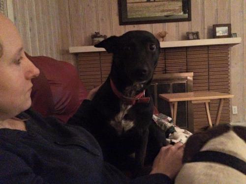 10:19:18 GMT-0600 (CST).image