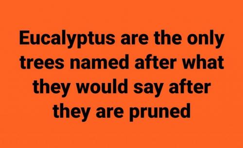 08:36:38 GMT-0500 (EST)