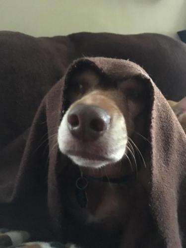 18:40:27 GMT-0600 (CST).image