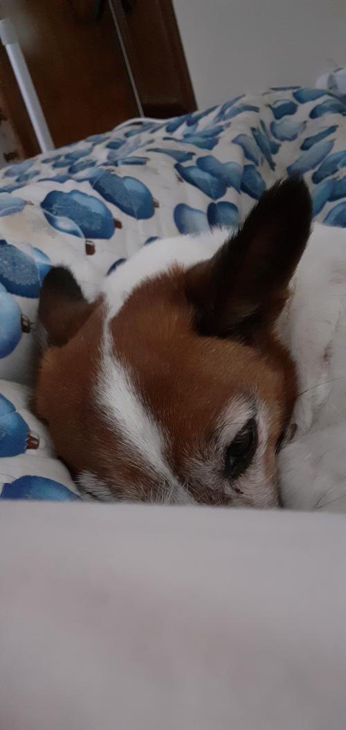 07:50:42 GMT+0000 (GMT).image