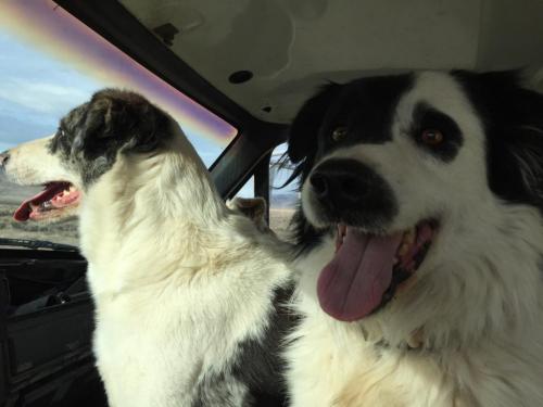 17:56:35 GMT-0800 (PST).image