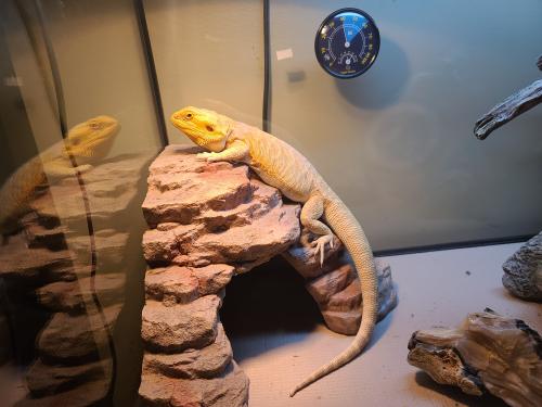 18:41:43 GMT-0600 (CST)