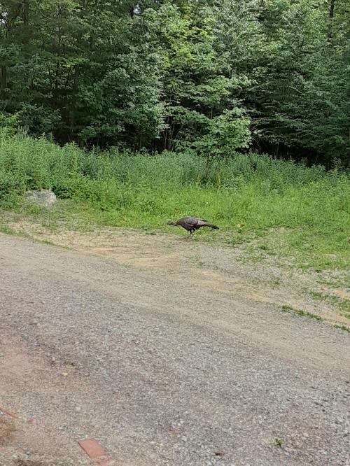 09:25:54 GMT-0500 (EST)