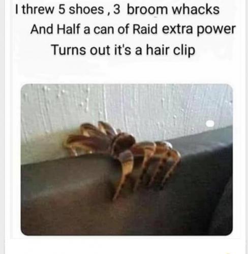 20:29:15 GMT-0500 (EST)