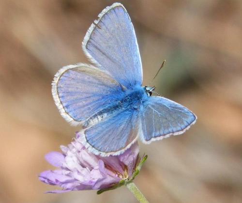 12:31:04 GMT-0500 (EST).image