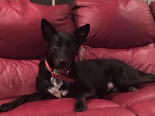 10:20:55 GMT-0600 (CST).image