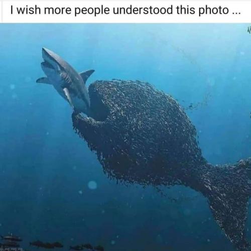 11:53:27 GMT-0600 (CST)