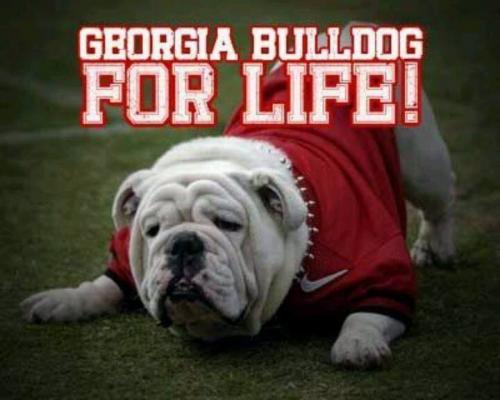 10302174_815128151865859_7203117603509576800_n