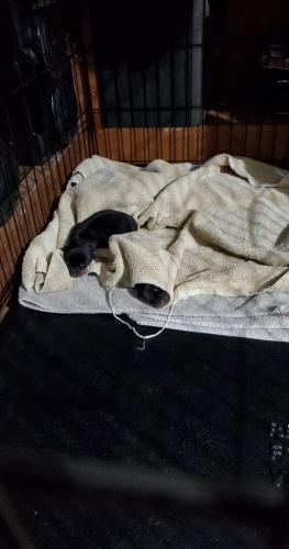 21:04:23 GMT-0800 (PST)