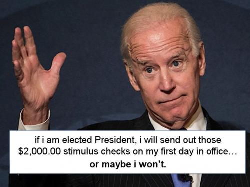 biden313