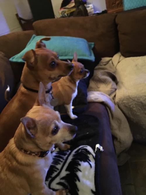 19:29:08 GMT-0700 (MST)