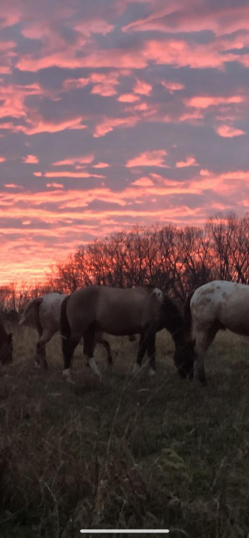 14:06:23 GMT-0600 (CST).image