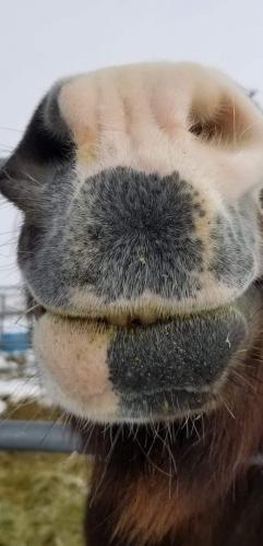 07:56:24 GMT-0800 (PST).image