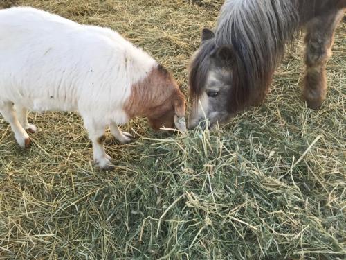 07:59:58 GMT-0800 (PST).image