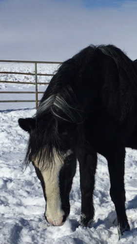 08:56:29 GMT-0800 (PST).image