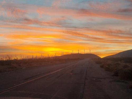 135557856_665811557448985_4807994534918704682_o