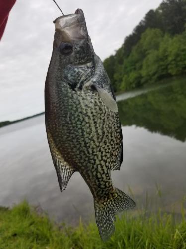 13:20:02 GMT-0500 (EST)