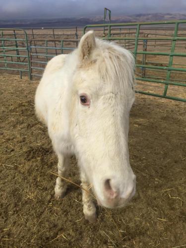 21:09:42 GMT-0800 (PST).image