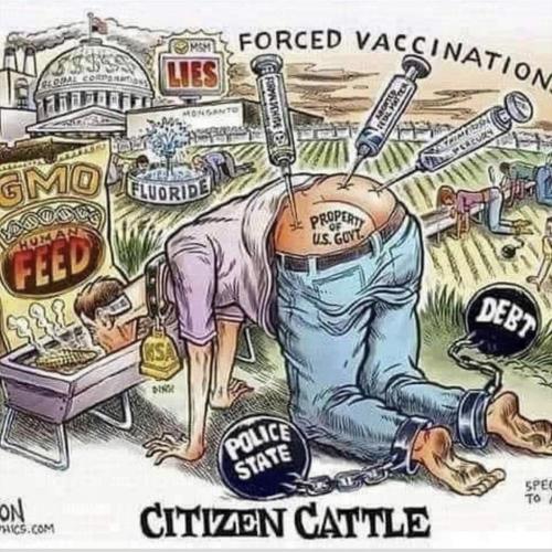 14:16:30 GMT-0800 (PST).image