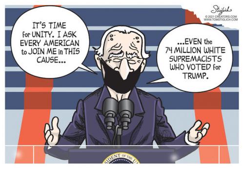 BIDEN CARTOON