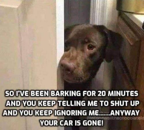 09:17:44 GMT-0500 (EST)