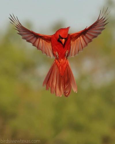 138598559_1775337875965750_6834795794818185869_o