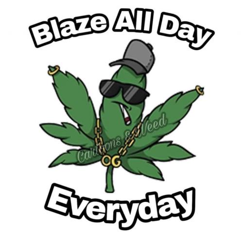 08:28:33 GMT-0500 (EST).image