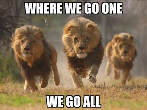 19:19:31 GMT+0100 (CET)