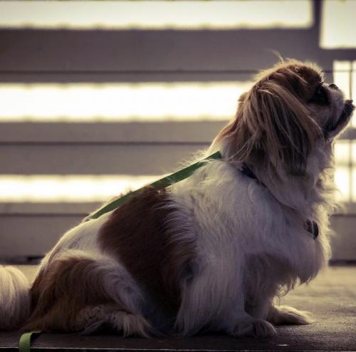 23:47:55 GMT-0600 (CST).image