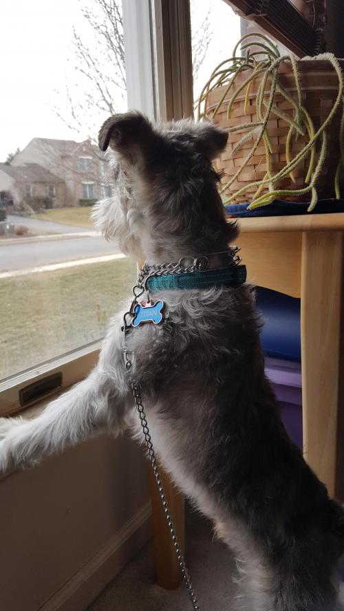 17:31:07 GMT-0500 (EST)