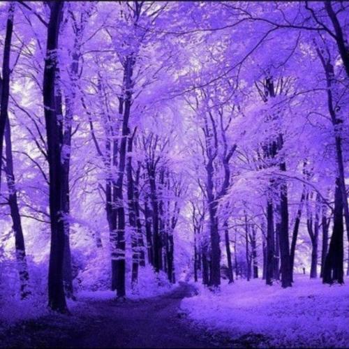 22:04:27 GMT-0600 (CST)