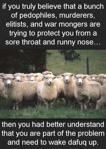 sheeple25