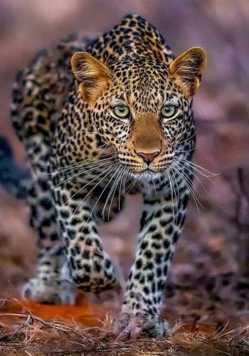 144581091_111873520874019_7107064317015889223_o