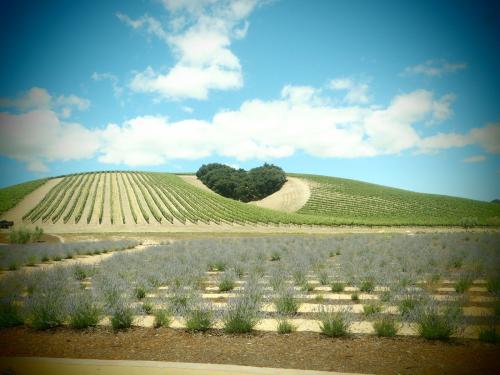 09:11:10 GMT-0800 (PST)