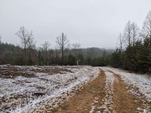 19:37:57 GMT-0500 (EST)