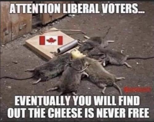 08:02:16 GMT-0500 (EST).image