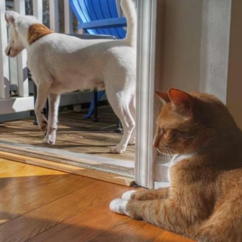 11:33:17 GMT+0100 (WAT)