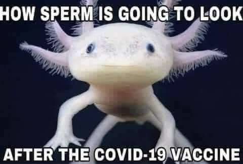 68430F34-4C0A-42C3-B01B-D7AEA0A02798