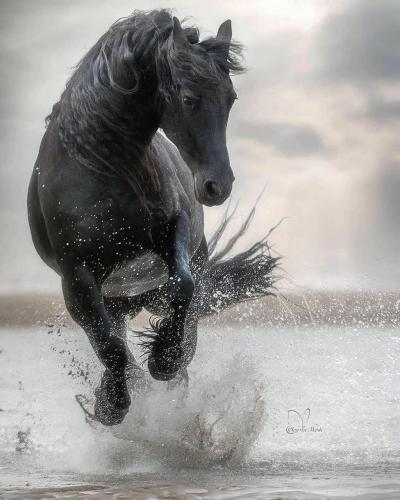 139245992_1775428759289995_4063172463961121020_o