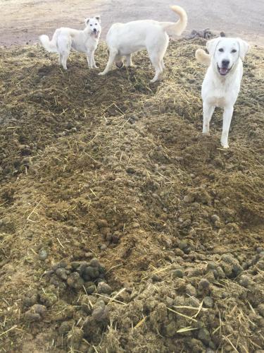 21:09:42 GMT-0800 (PST).image