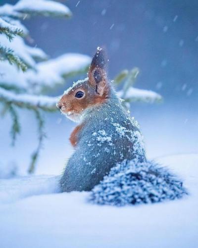 136780208_103559605038744_5888368363192895211_o