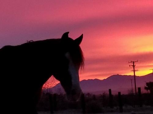 19:48:02 GMT-0800 (PST).image