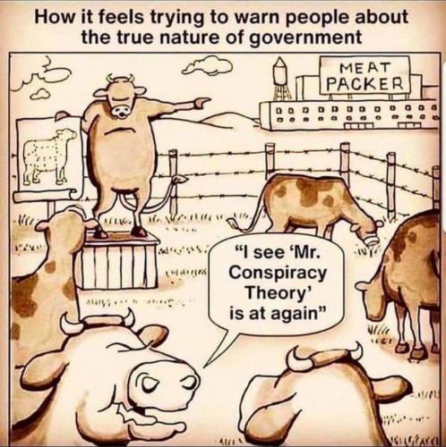 132636287_10217826676874672_7213370702779488189_n