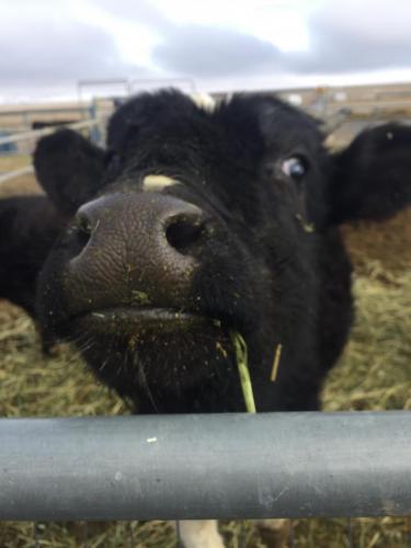 21:09:42 GMT-0800 (PST).image