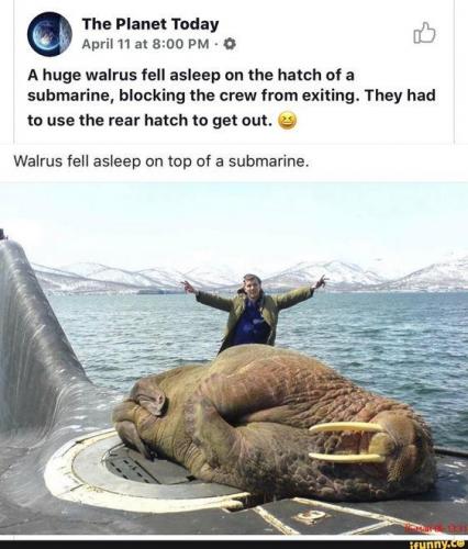 13:01:03 GMT-0500 (EST)