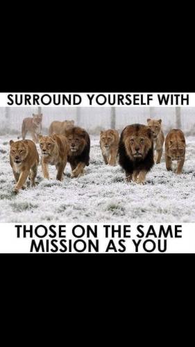 595D9A81-A536-4B50-BAFC-CEFC8D55C900-9418-0000060AE94A3B57